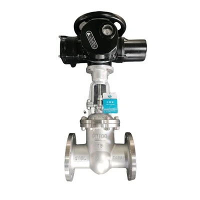 Valv ta' Sluice Motorizzat